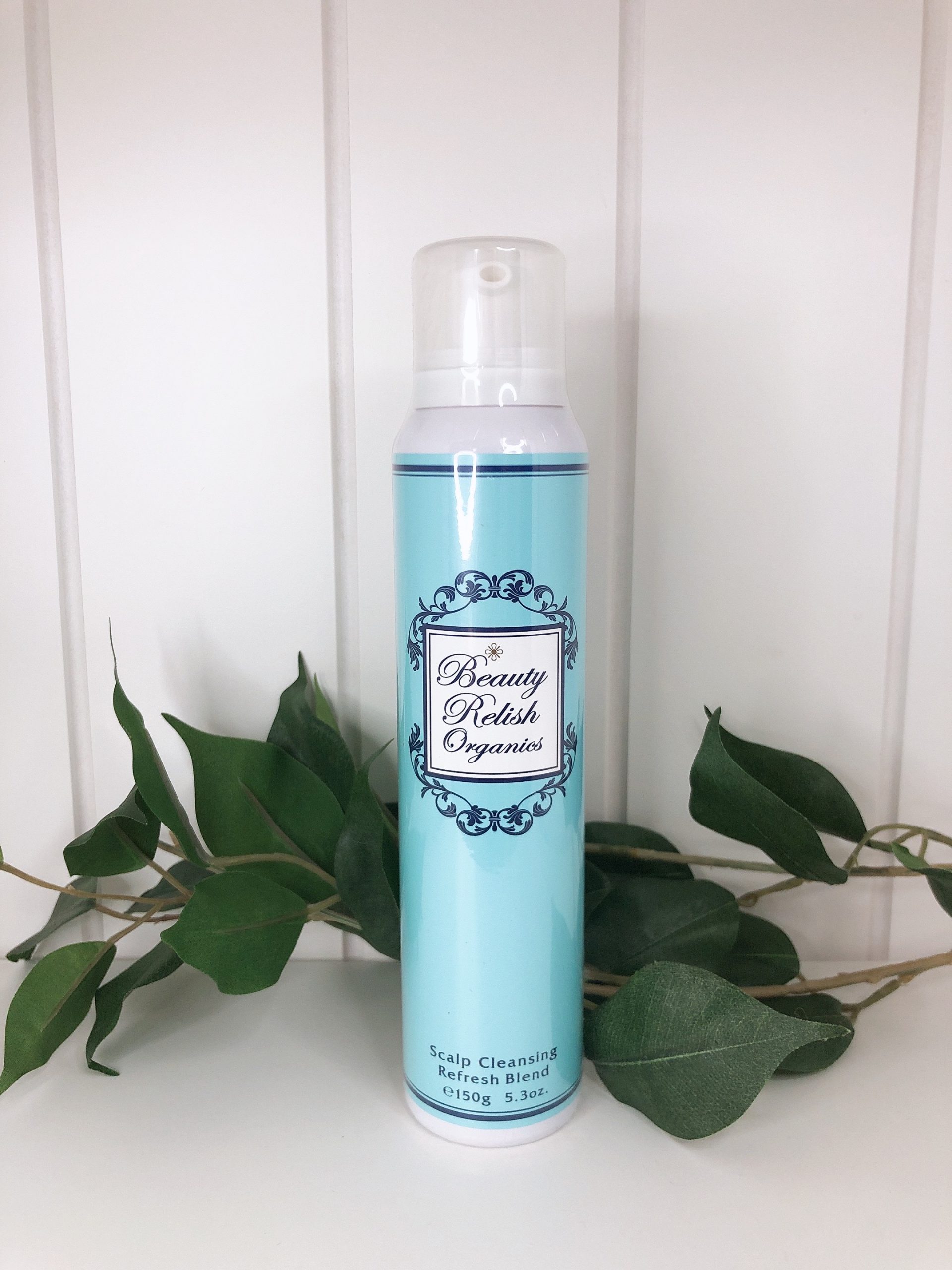 ビューティーレリッシュオーガニクス スカルプクレンジング〈炭酸頭皮用クレンジング〉  150g   3500円　税別